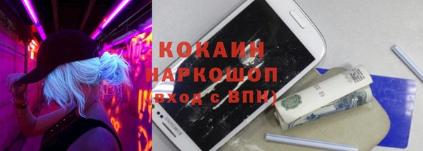 индика Белоозёрский