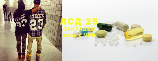 индика Белоозёрский