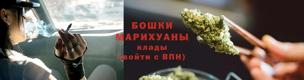 индика Белоозёрский