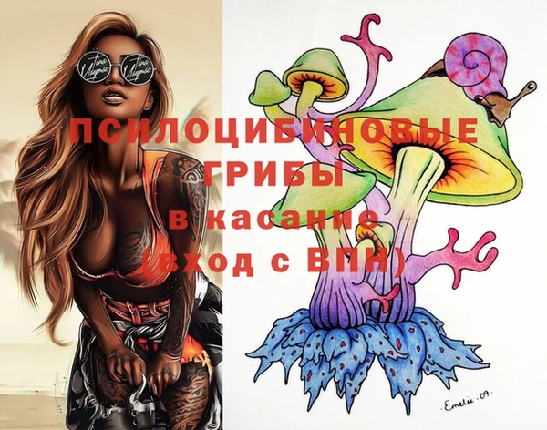 молекула духа Арсеньев