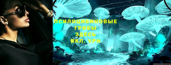 индика Белоозёрский