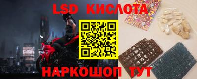 шишки Донской