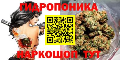 шишки Донской