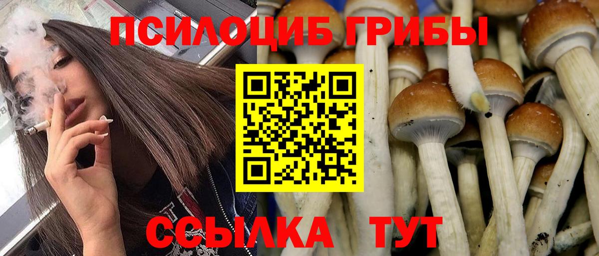 Псилоцибиновые грибы мицелий  Вход с VPN  Мурманск 